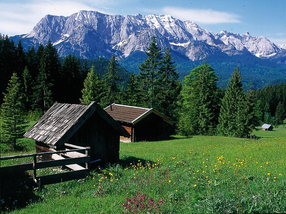 Appartementhaus Alpenrose Wallgau Eksteriør bilde